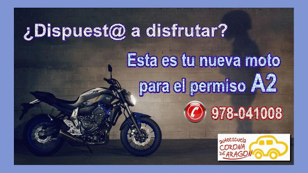 publicidad-1.jpg